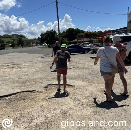 Mr Chester says work has stalled on road safety projects because of the Albanese government's infrastructure review, emphasising the need for urgent action to invest in road infrastructure for safer outcomes