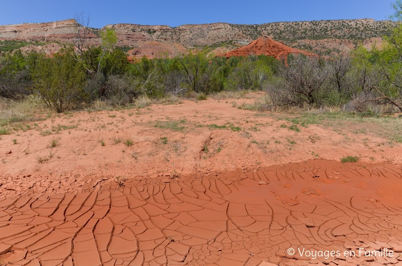 Palo Duro SP 