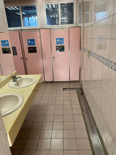9817