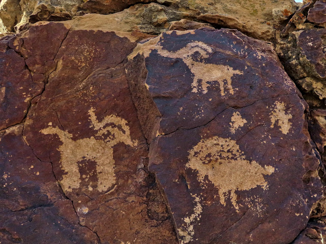 Petroglyphs near Buried Forest