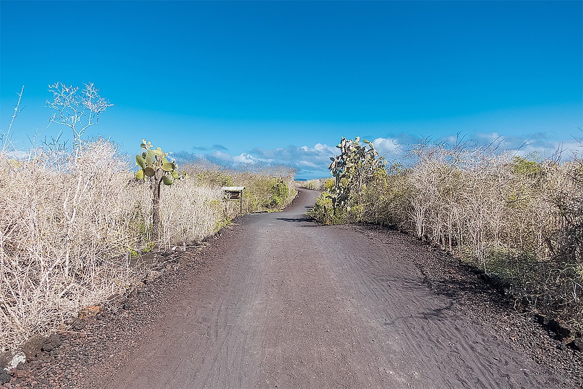 Insula Isabela, Galapagos
