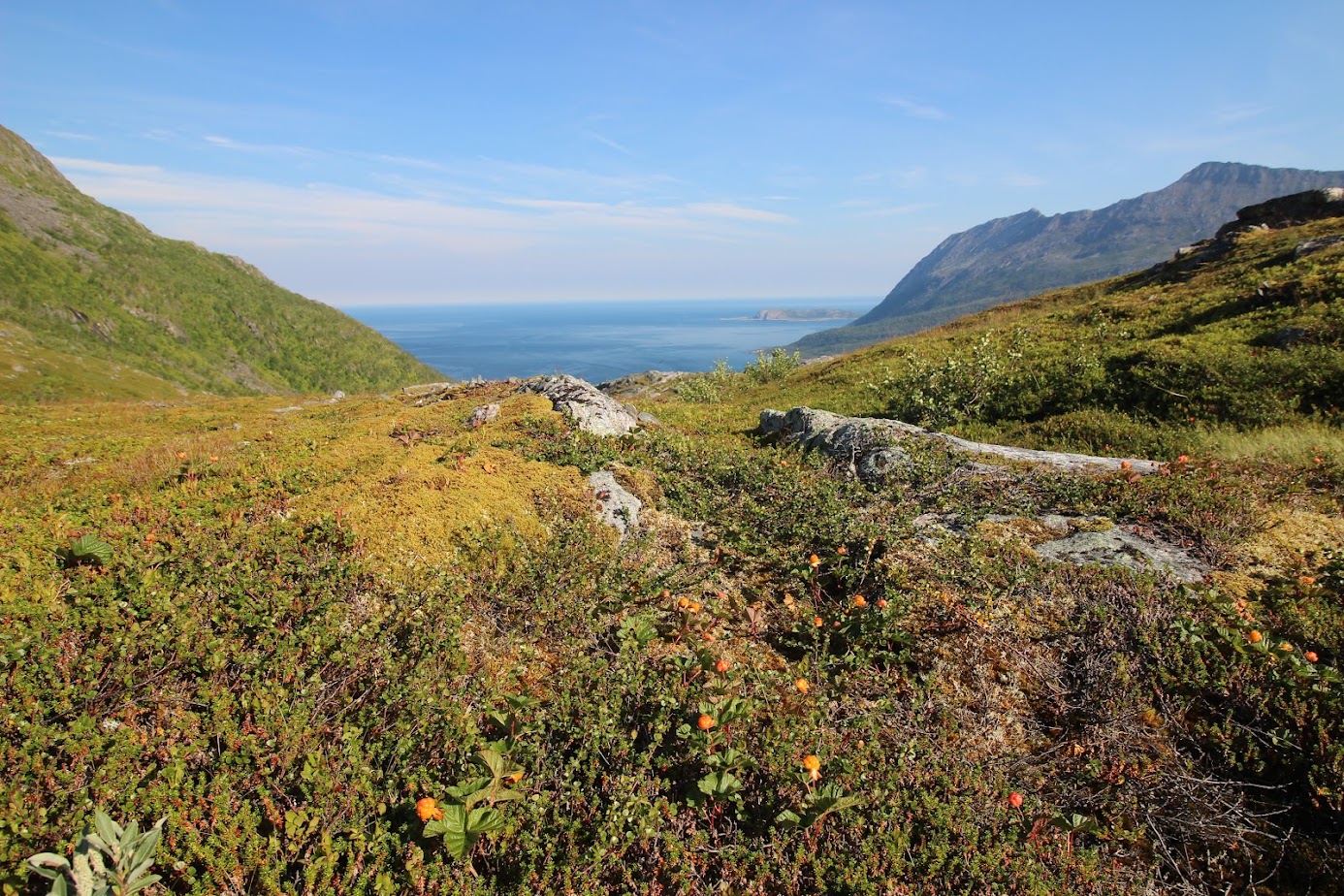 По волнам памяти (Nordkapp, острова Senja, Vesteralen и Lofoten в августе 2023)