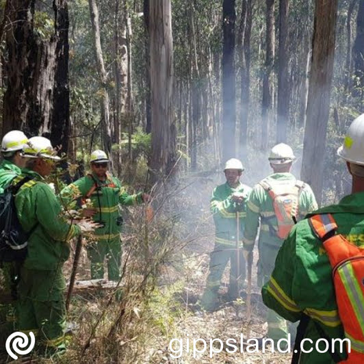 The Nationals Member, Danny O'Brien, calls for urgent government action to ensure Gippsland's safety, expressing concerns about meeting reduction targets and putting communities at risk