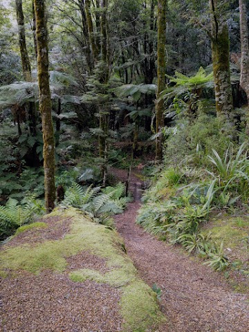 Lake Waikaremoana Track