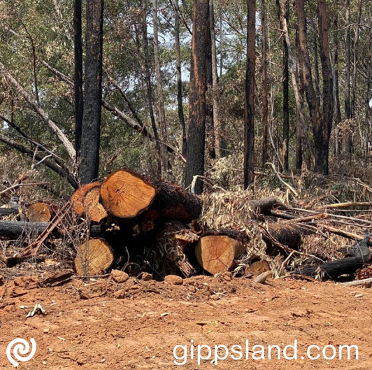 Tim Bull, with firewood contractor Pam Beveridge, is calling for the re-opening of the domestic firewood collection season, to address the supply issues currently encountered due to the closure of Victoria's Native Timber industry