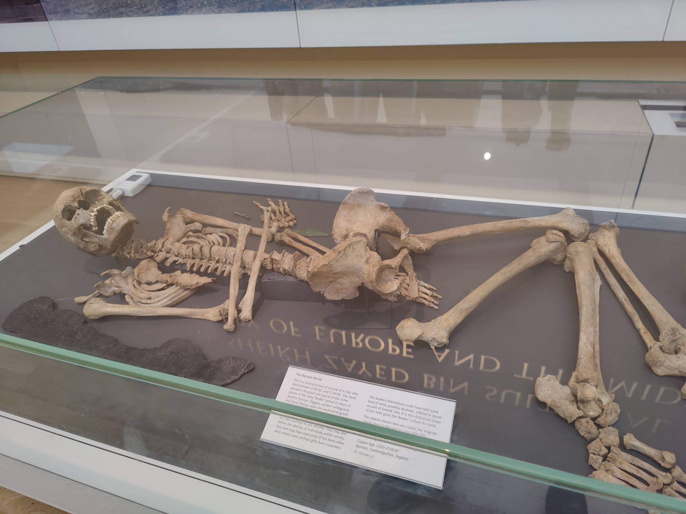 Skeleton from the Barnack burial