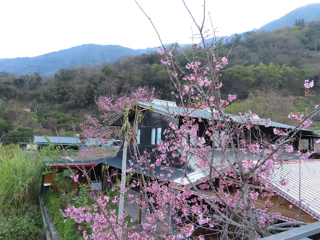 2023_八通關越道路 之 東埔登山口~觀高工作站