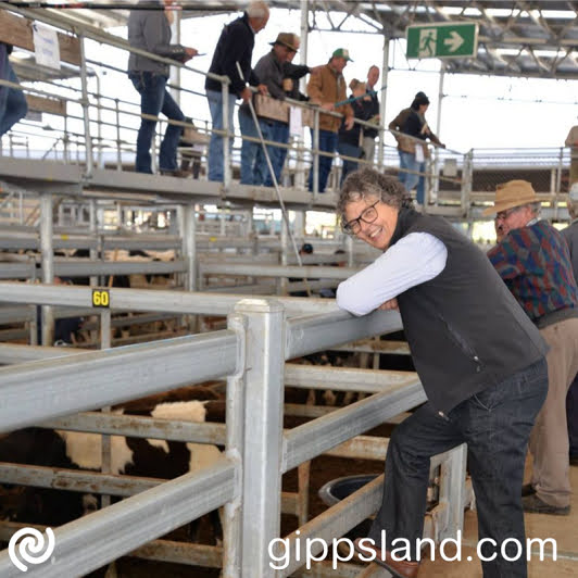 The strategic review of the Gippsland Regional Livestock Exchange (GRLE) aims to identify and investigate saleyard issues, while testing potential opportunities for its future support