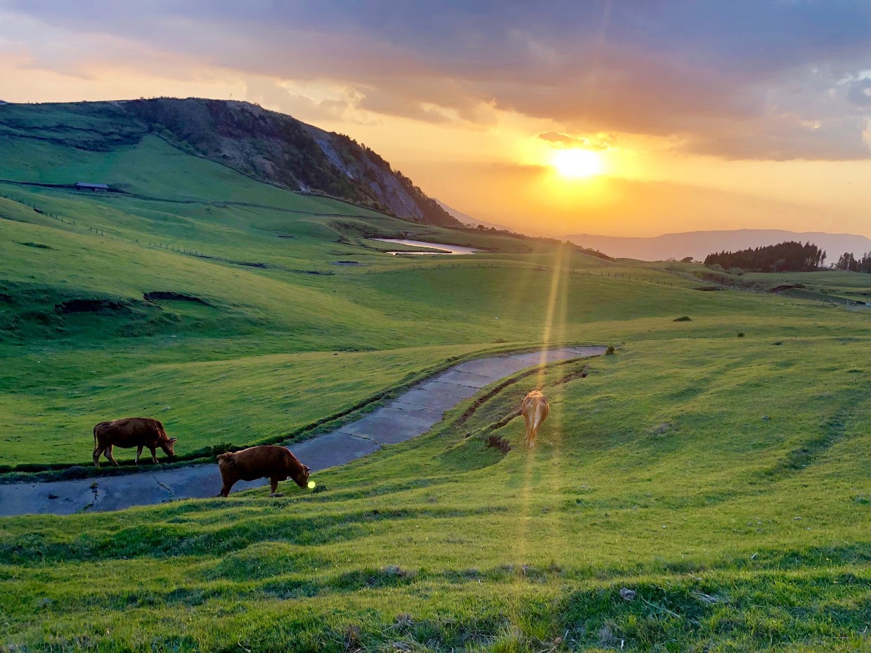 ความงดงามของธรรมชาติโดยรอบภูเขาไฟอะโซะ (Mt. Aso) 