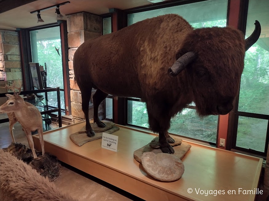 Chickasaw NRA - Travertine center