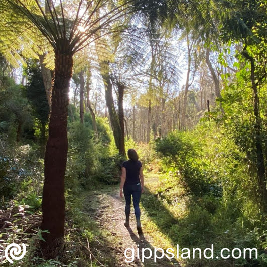 Explore Bruthen Town & River Walk, visit Tambo Valley Honey for treats, artsy finds, and heritage sights. Then, head to Fairy Dell Walking Track for rainforest beauty