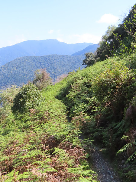 2023_八通關越道路 之 抱崖山屋~瓦拉米山屋