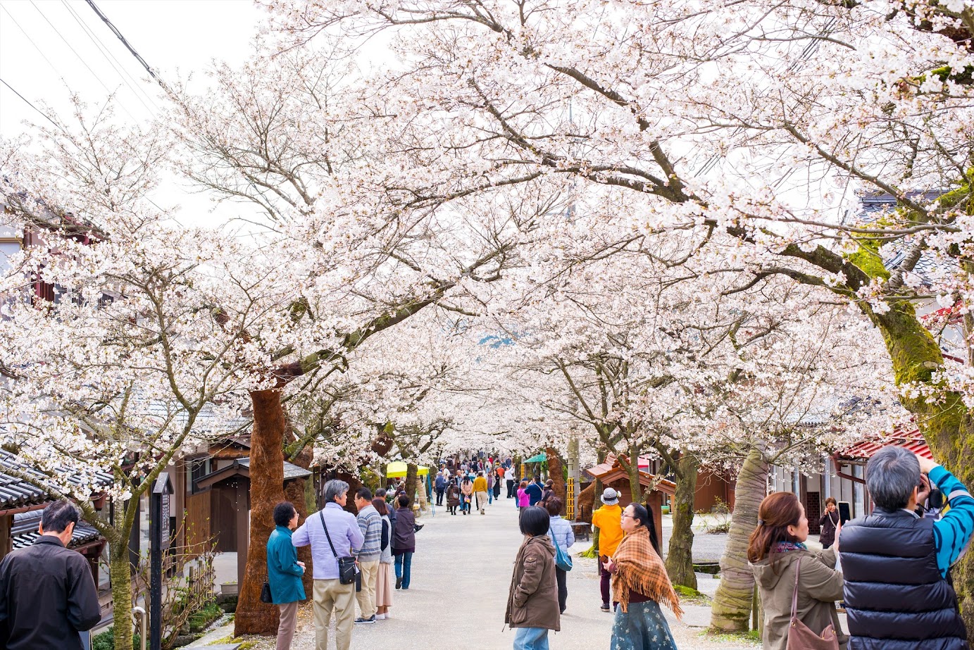 หมู่บ้านชินโจ ย่านเมืองเก่าในเมืองมะนิวะ