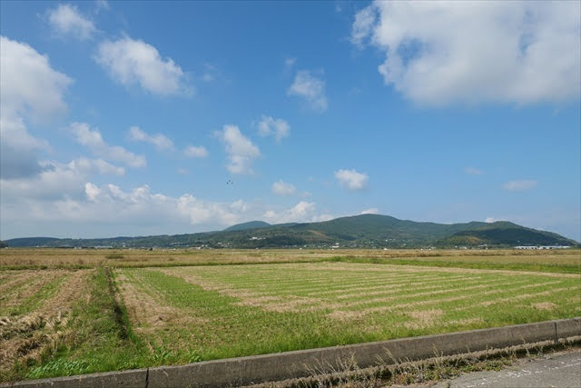 鹿児島県のツルおよびその渡来地