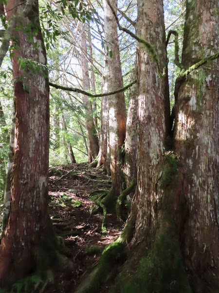 2023_八通關越道路 之 抱崖山屋~瓦拉米山屋