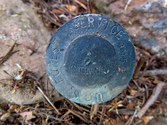 U.S. Forest Service "Cinco" benchmark from 1959