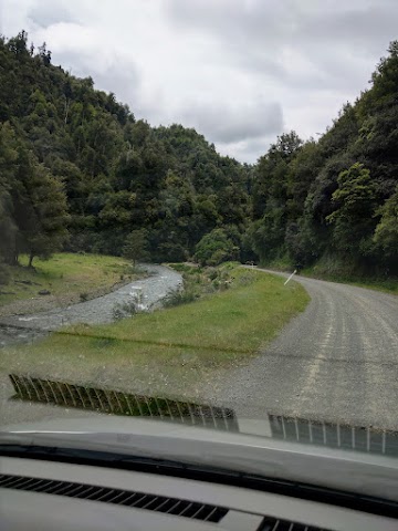 Driving to Waikaremoana via Te Urewera Rainforest Route