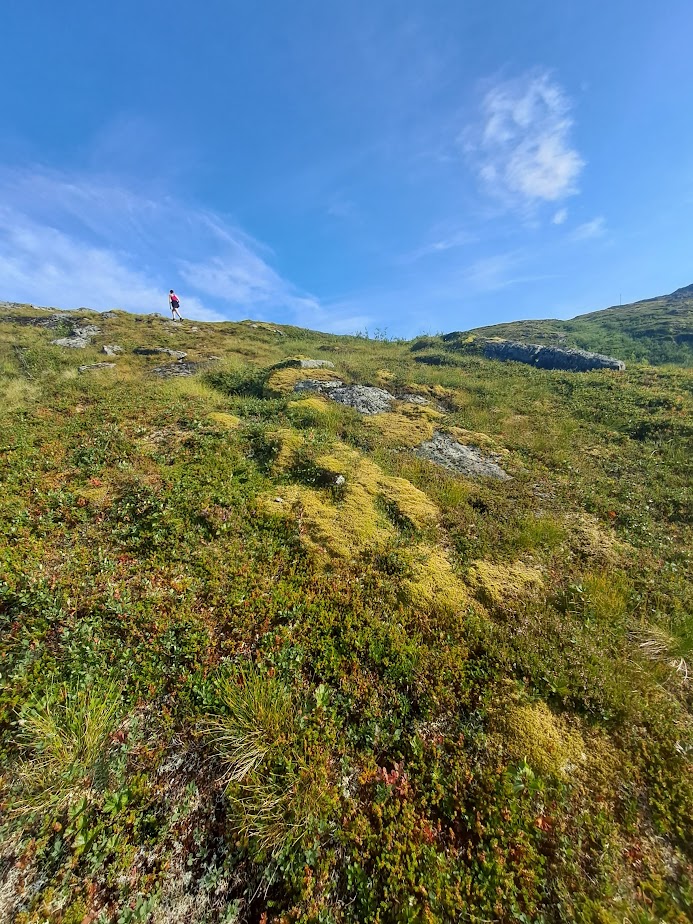 По волнам памяти (Nordkapp, острова Senja, Vesteralen и Lofoten в августе 2023)