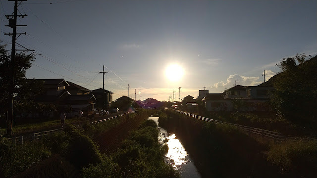 夕方散歩