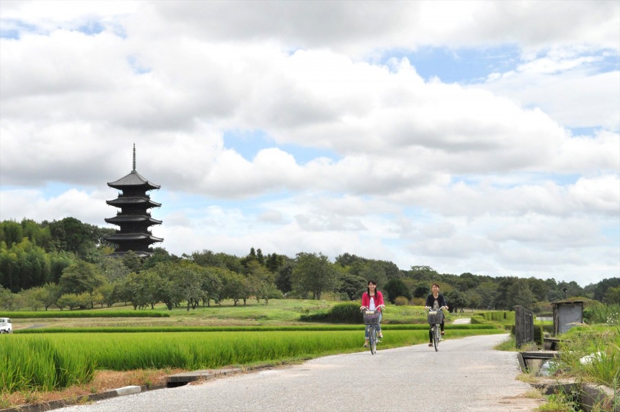 เป็น 1 ใน 100 เส้นทางปั่นจักรยานที่สวยงามที่สุดของญี่ปุ่น ตลอดเส้นทางรายล้อมไปด้วยทัศนียภาพอันงดงาม