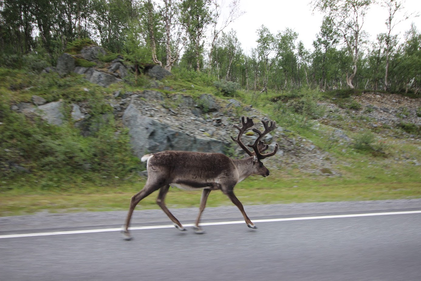 По волнам памяти (Nordkapp, острова Senja, Vesteralen и Lofoten в августе 2023)