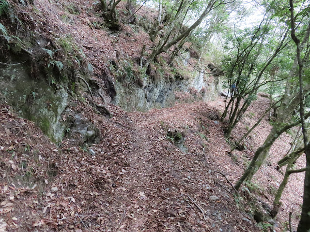 2023_八通關越道路 之 塔達芬營地~大分山屋