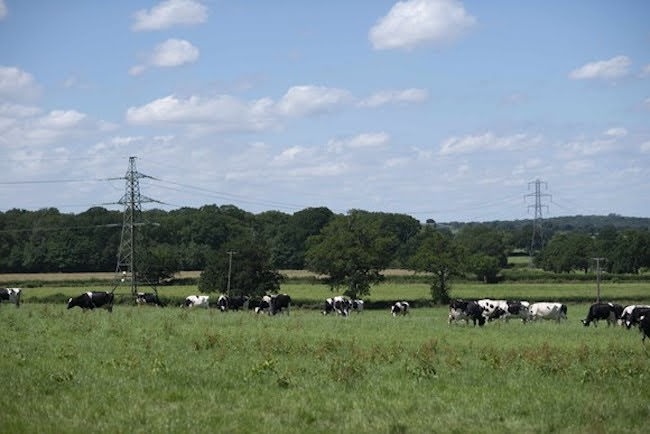 Energy giant reignites bid for North Powys pylon corridor 