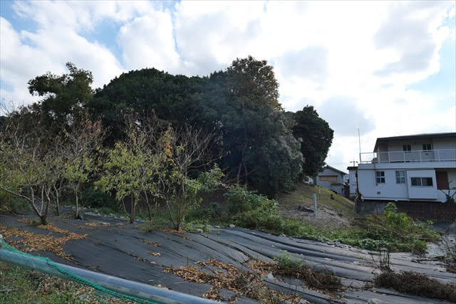 百舌鳥・古市古墳群