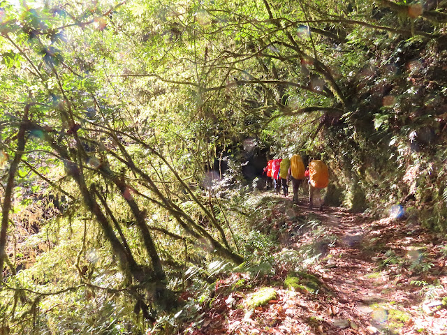 2023_八通關越道路 之 抱崖山屋~瓦拉米山屋