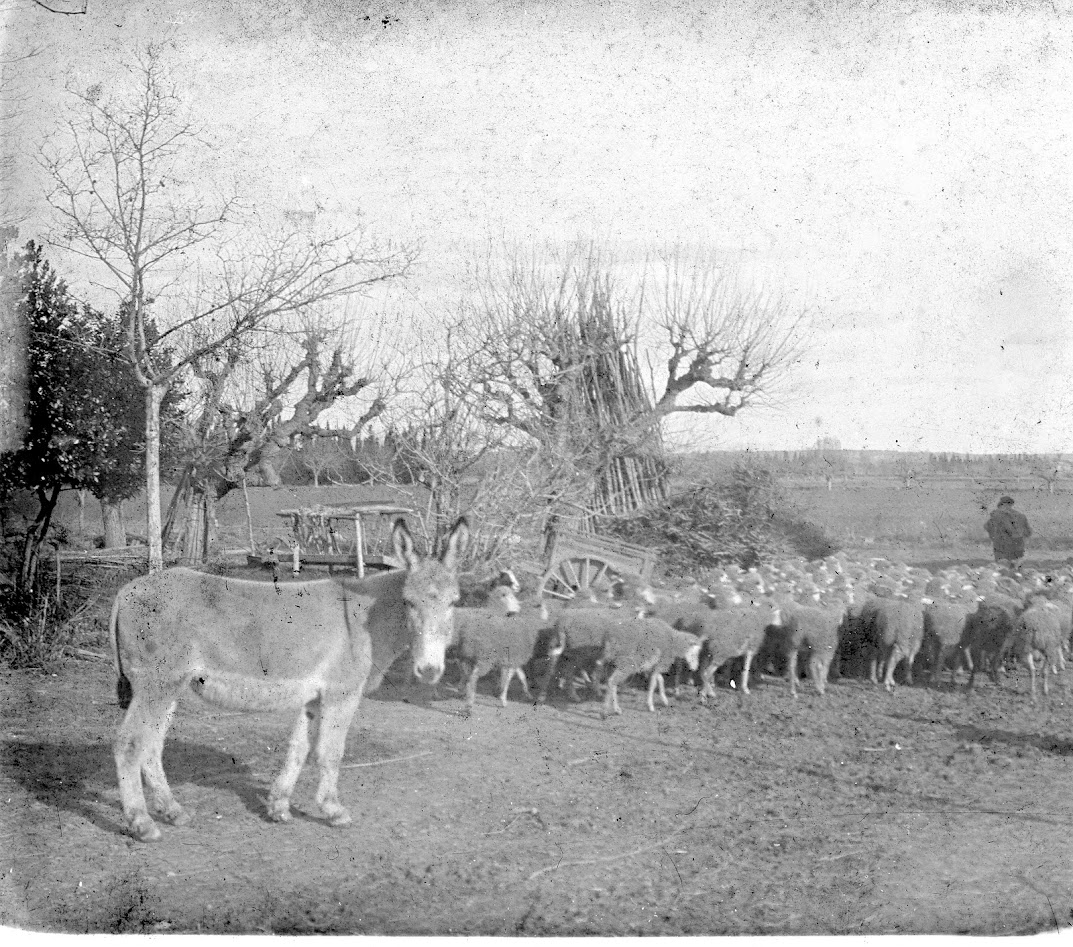 Photo des Soeurs SICARD : PHOTO-STEREO-003A