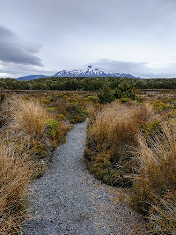 Mt Ruapehu