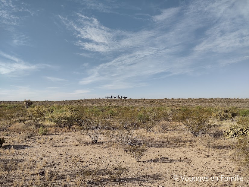 Fort-Stockton : Look to the east Sculpture