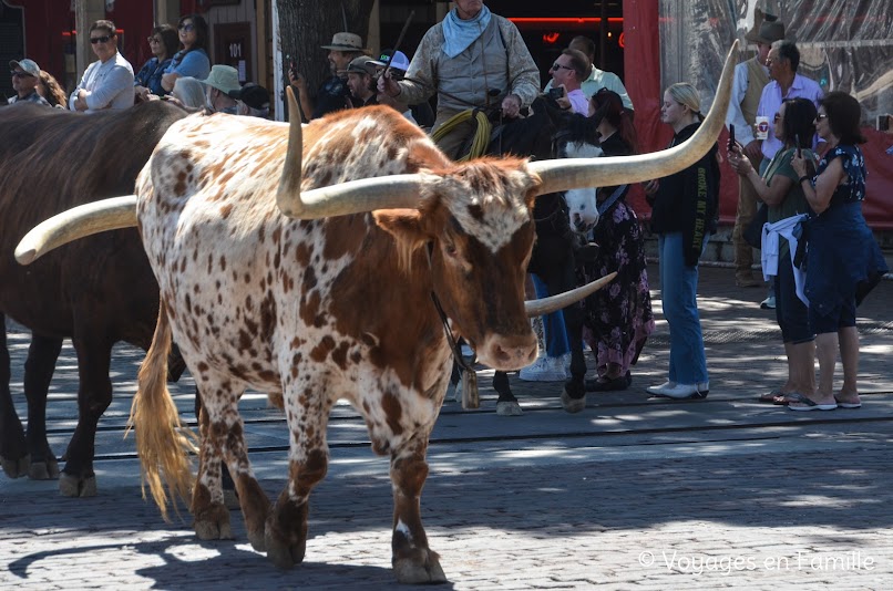 Fort-Worth, Parade