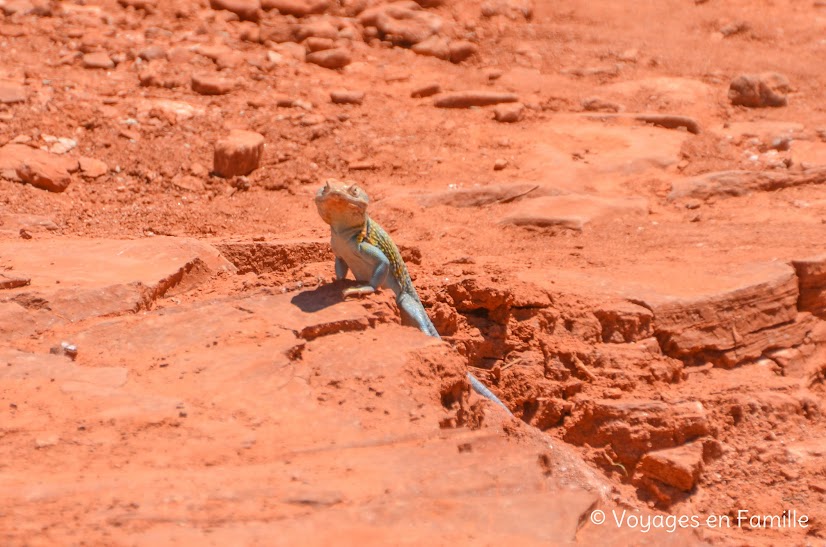 Palo Duro SP - Lighthouse Trail