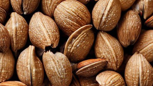 nut shells