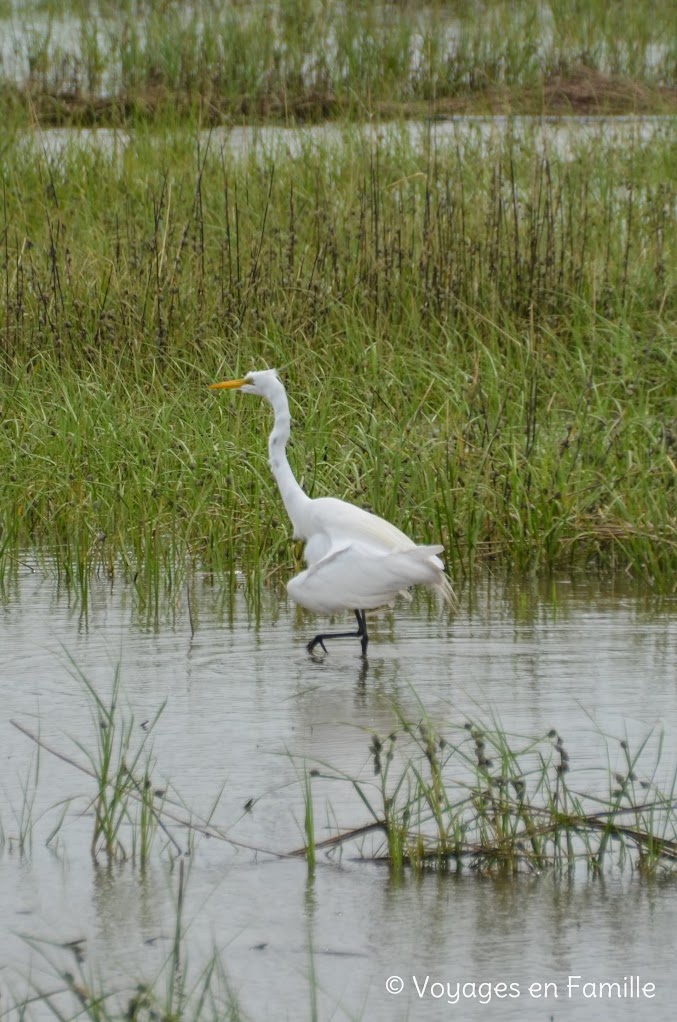 Port Lavaca