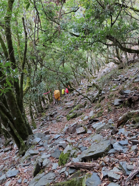 2023_八通關越道路 之 塔達芬營地~大分山屋