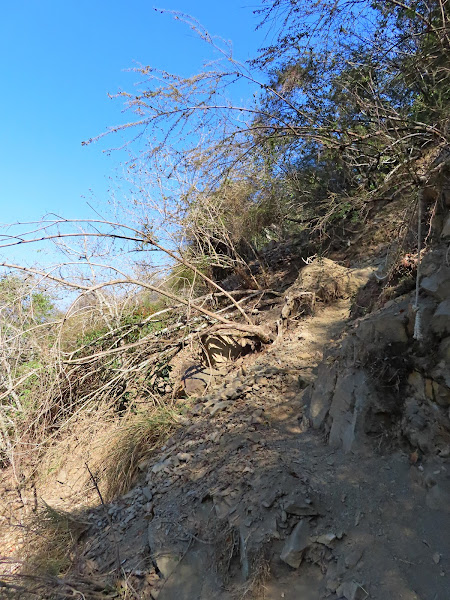 2023_八通關越道路 之 東埔登山口~觀高工作站