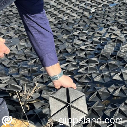 New hexagonal pads replace outdated ones, designed to reduce water quality risks, prevent deterioration, and protect from bird activity. Completed in June, costing $350,000