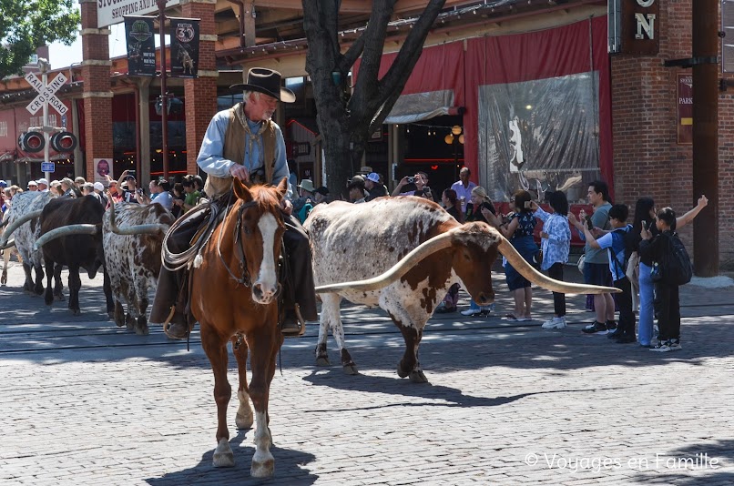 Fort-Worth, Parade