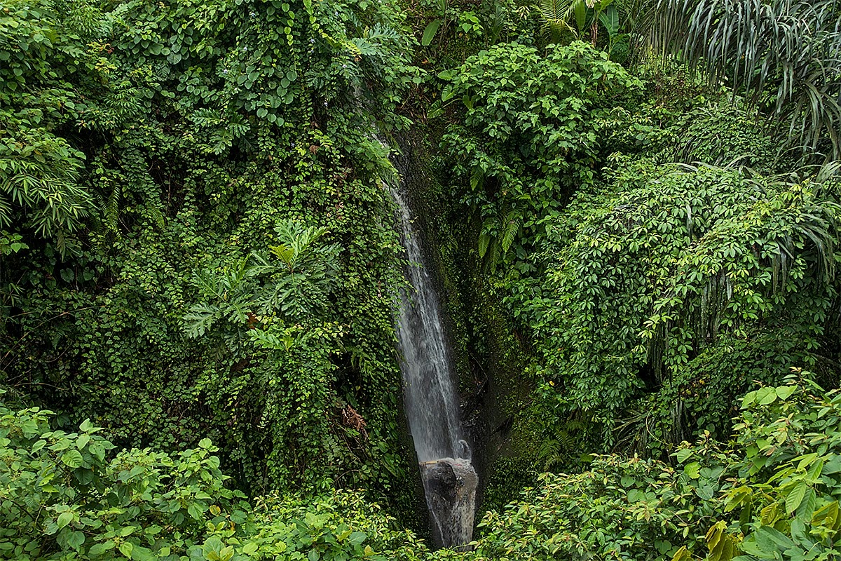 Ubud, Bali