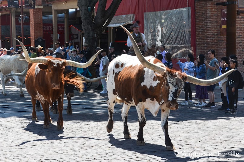 Fort-Worth, Parade