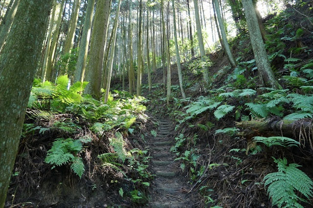 宇陀松山城跡