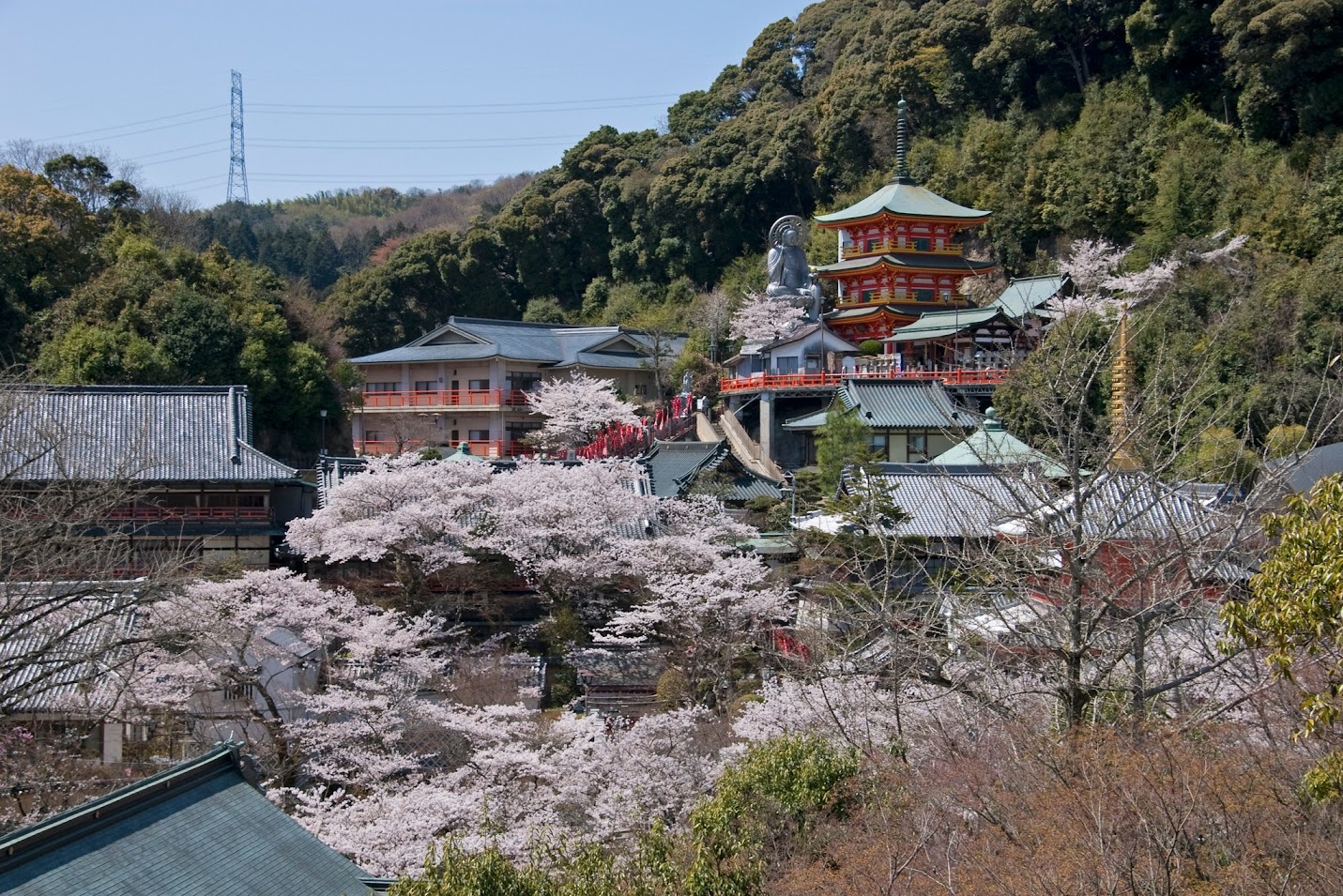 ท่ามกลางธรรมชาติอันงดงามของภูเขาชิกิ (Mt. Shigi) ในจังหวัดนารา (Nara)