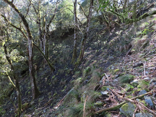 2023_八通關越道路 之 大分山屋~華巴諾駐在所