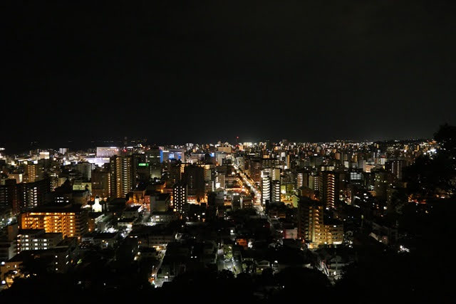 SHIROYAMA HOTEL kagoshima