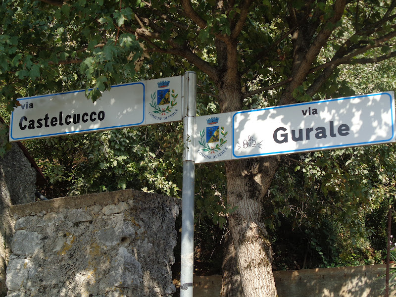 cucchetto mountain run (trail & road) - AMICI TORNEO PODISTICO