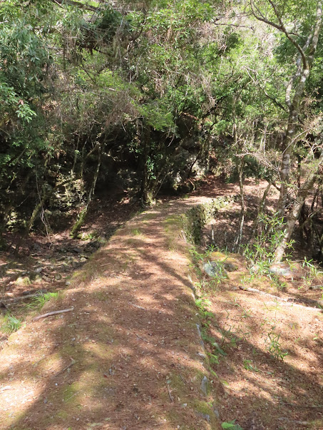 2023_八通關越道路 之 塔達芬營地~大分山屋