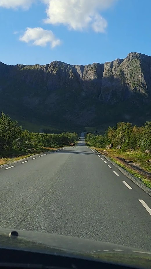 По волнам памяти (Nordkapp, острова Senja, Vesteralen и Lofoten в августе 2023)