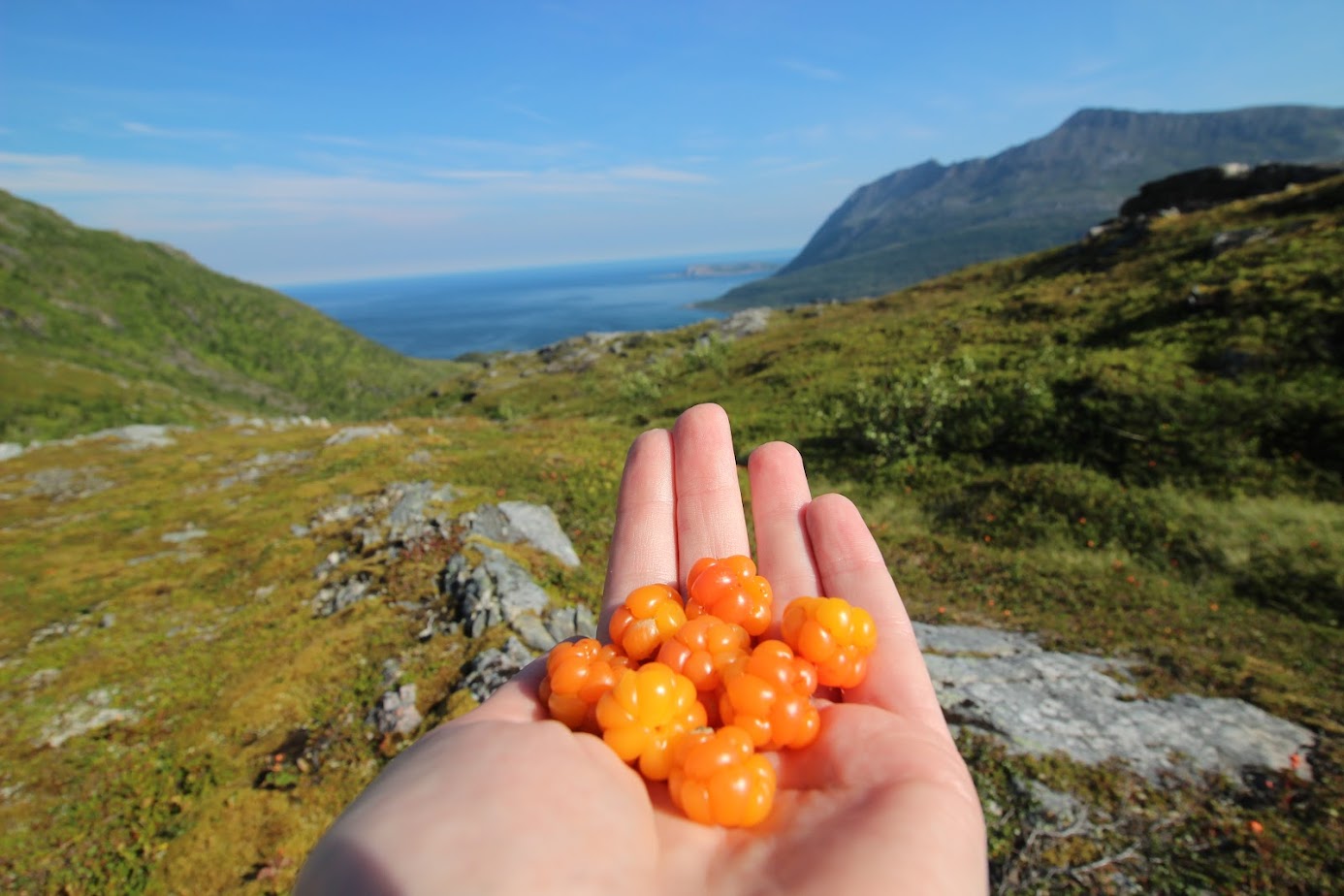 По волнам памяти (Nordkapp, острова Senja, Vesteralen и Lofoten в августе 2023)